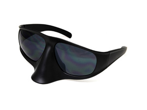 cc-ew-bh-bk-bk BLACK HORNET SUNGLASS