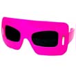 cc-ew-bst-pk-bk BASTILLE SUNGLASS PINK