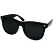 cc-ew-way2sd-bk-sm WAYFARER 2SD SUNGLASS BLACK