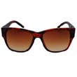 cc-ew-wtws-tts-sm WELLINGTON TYPE WS SUNGLASS TORTOISE(ׂb)