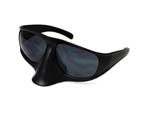 BLACK HORNET SUNGLASS