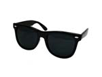 WAYFARER 2SD SUNGLASS BLACK