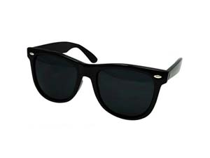 cc-ew-way2sd-bk-sm WAYFARER 2SD SUNGLASS BLACK