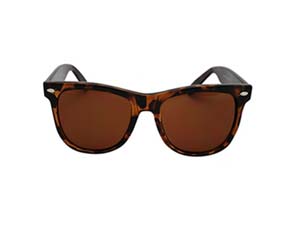 cc-ew-way2sd-tts-sm WAYFARER 2SD SUNGLASS TORTOISE(ׂb)