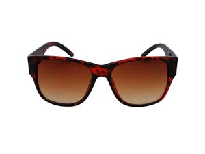 cc-ew-wtws-tts-sm WELLINGTON TYPE WS SUNGLASS TORTOISE(ׂb)